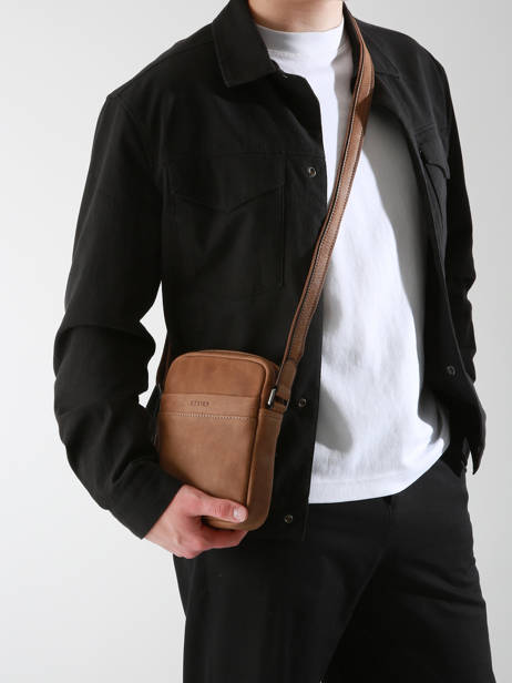 Leather Spider Crossbody Bag Etrier Brown spider ESPI704S other view 1